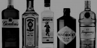 Gin Gin